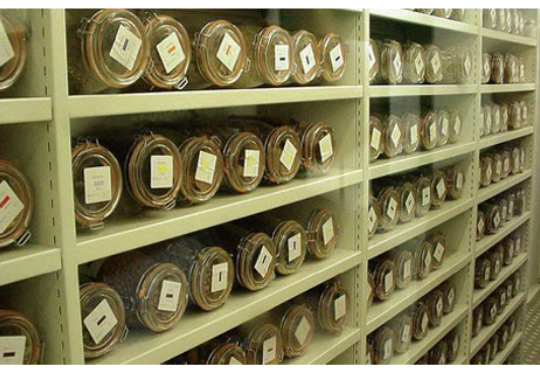 種質(zhì)資源庫(kù)